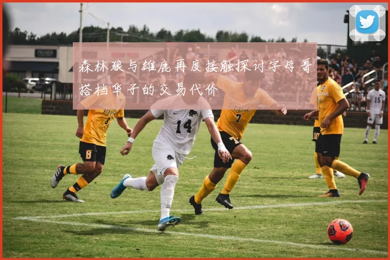 森林狼与雄鹿再度接触探讨字母哥搭档华子的交易代价