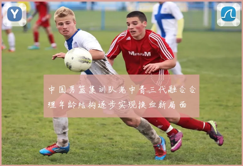 中国男篮集训队老中青三代融合合理年龄结构逐步实现换血新局面