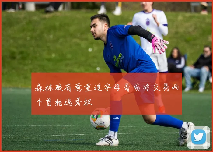 森林狼有意重追字母哥或将交易两个首轮选秀权